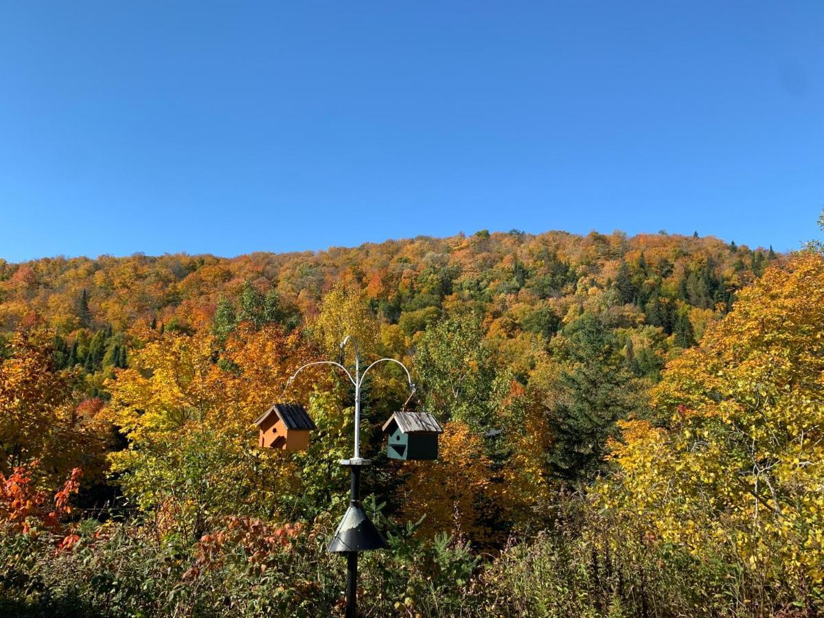 Loft Nature Laurentides Val-des-Lacs Εξωτερικό φωτογραφία