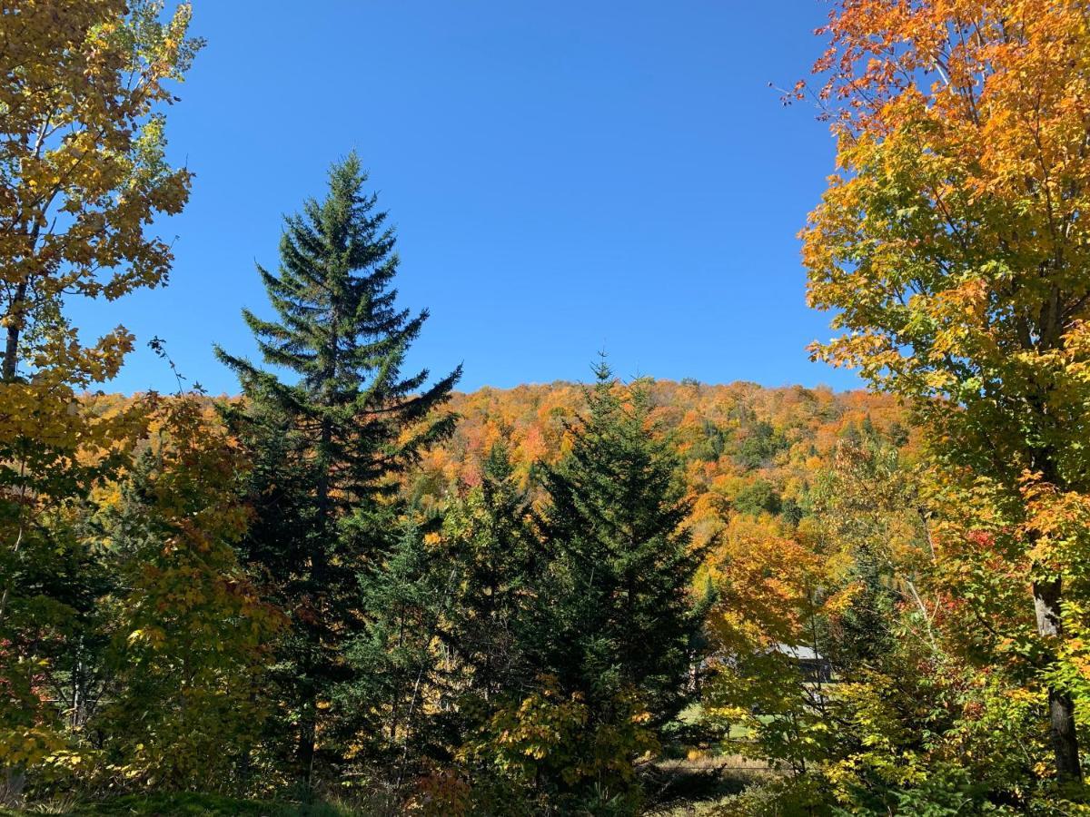 Loft Nature Laurentides Val-des-Lacs Εξωτερικό φωτογραφία