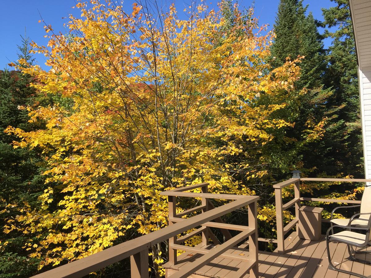 Loft Nature Laurentides Val-des-Lacs Εξωτερικό φωτογραφία