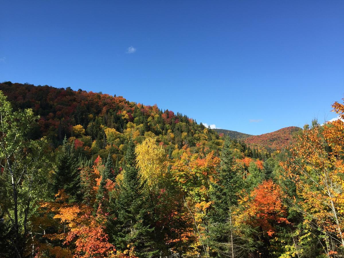 Loft Nature Laurentides Val-des-Lacs Εξωτερικό φωτογραφία