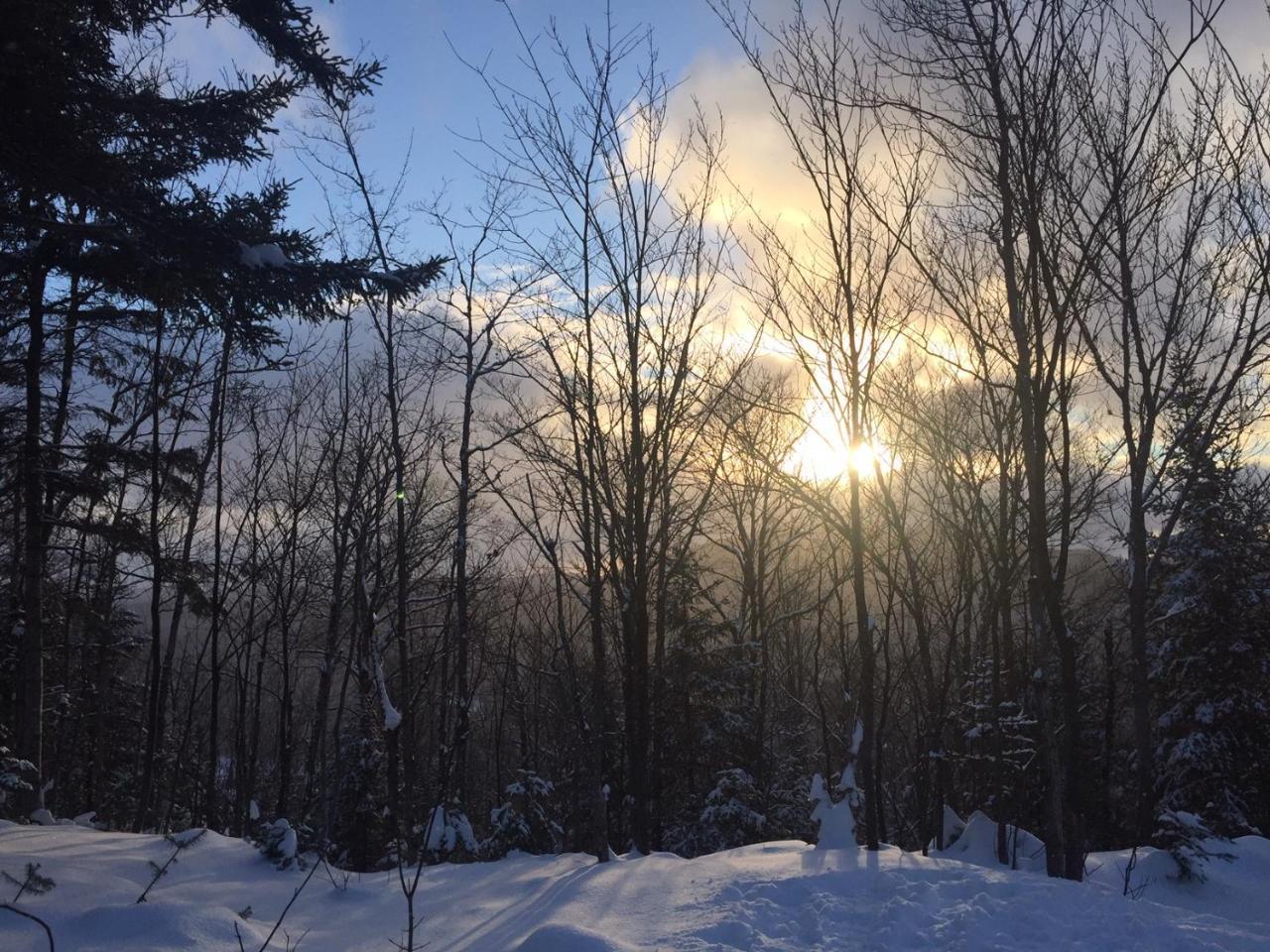 Loft Nature Laurentides Val-des-Lacs Εξωτερικό φωτογραφία