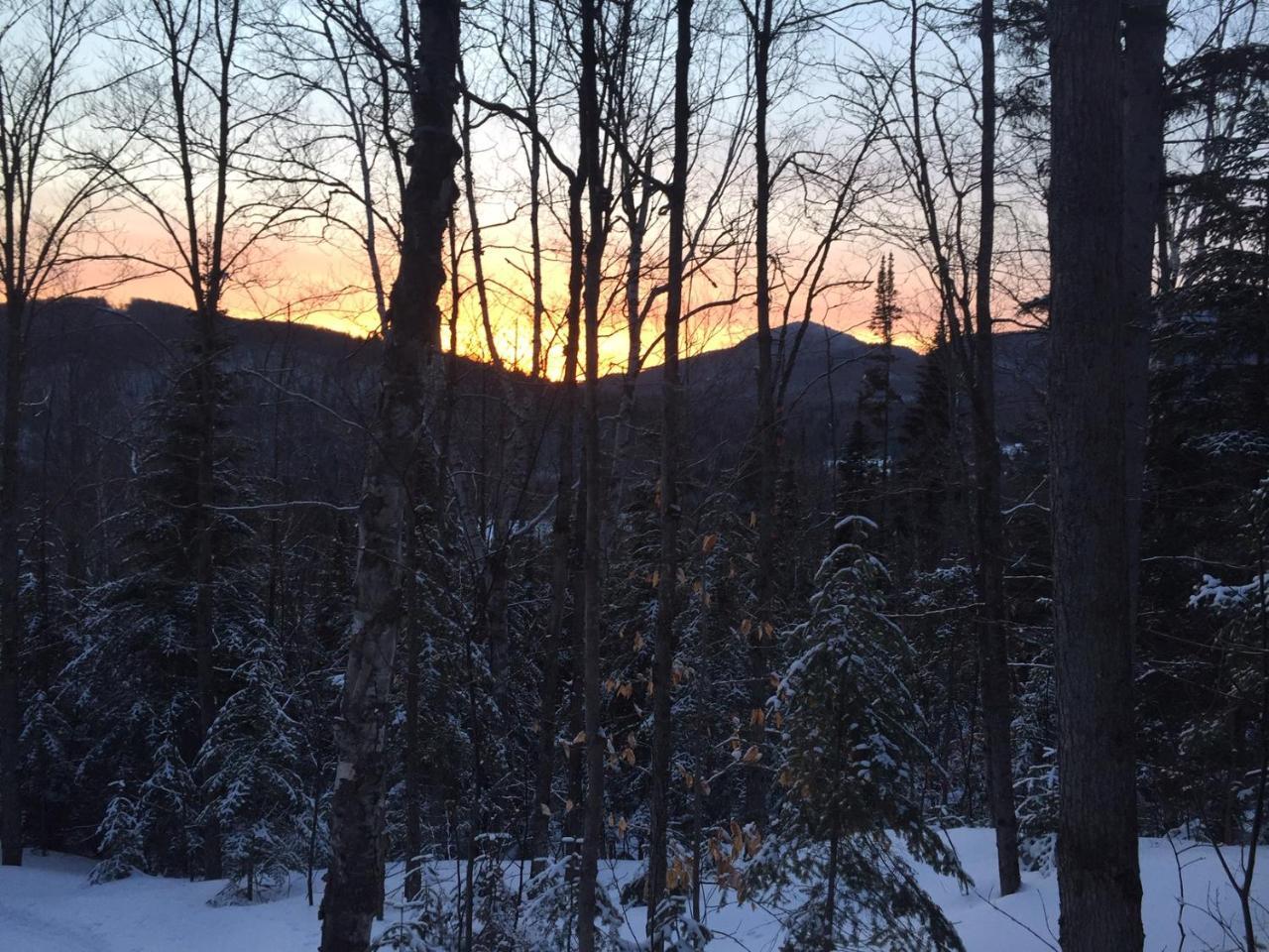 Loft Nature Laurentides Val-des-Lacs Εξωτερικό φωτογραφία